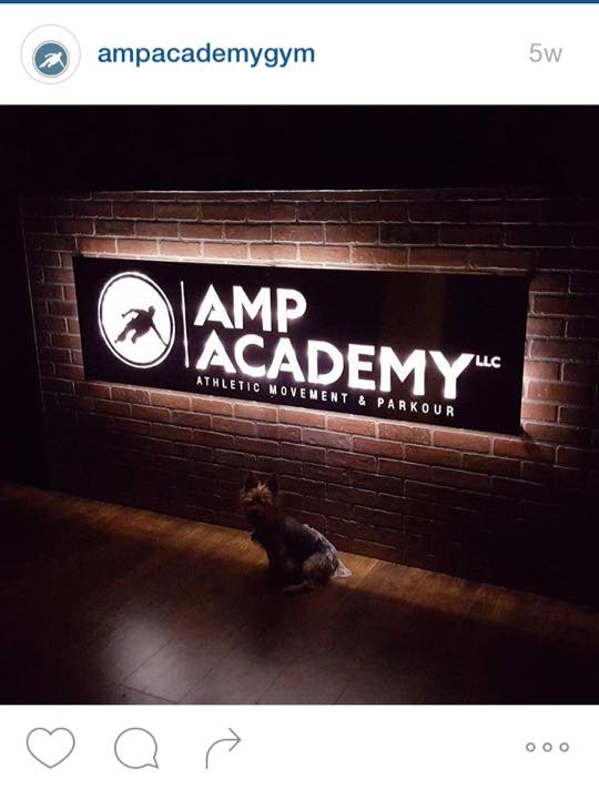 AMP Sign Lit up          